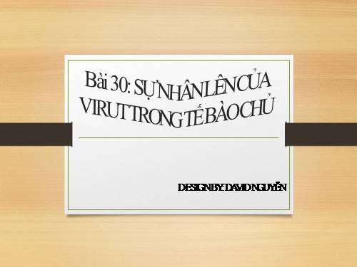 Bài 30. Sự nhân lên của virut trong tế bào chủ
