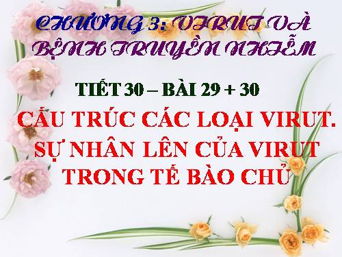 Bài 30. Sự nhân lên của virut trong tế bào chủ