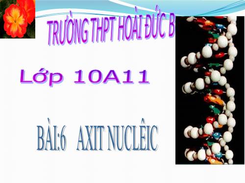 Bài 6. Axit nuclêic