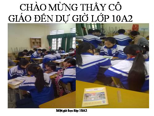 Bài 29. Cấu trúc các loại virut