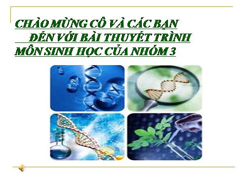 Bài 31. Virut gây bệnh, ứng dụng của virut trong thực tiễn