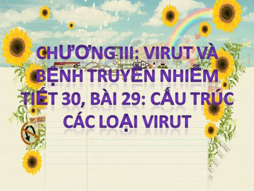 Bài 29. Cấu trúc các loại virut