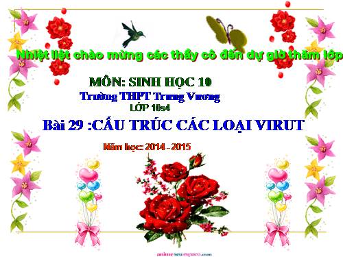 Bài 29. Cấu trúc các loại virut