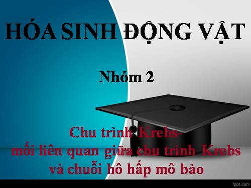 Chu trình Krebs-  mối liên quan giữa chu trình Krebs  và chuỗi hô hấp mô bào