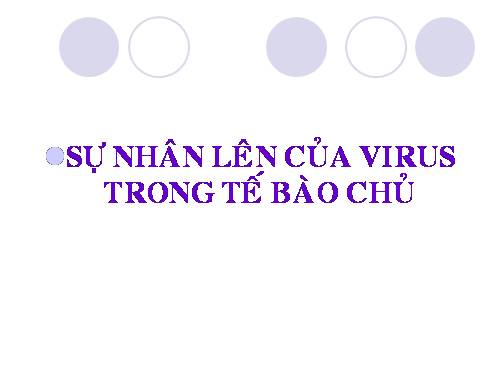 Bài 30. Sự nhân lên của virut trong tế bào chủ