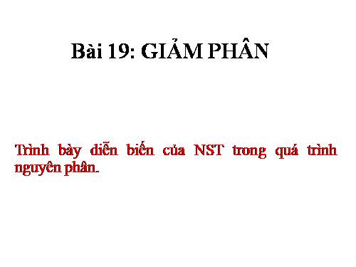 Bài 19. Giảm phân