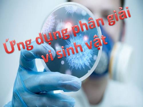 Bài 23. Quá trình tổng hợp và phân giải các chất ở vi sinh vật