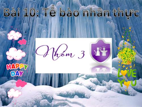 Bài 10. Tế bào nhân thực (tiếp theo)