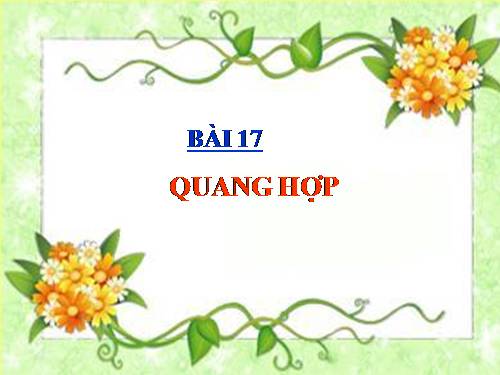 Bài 17. Quang hợp