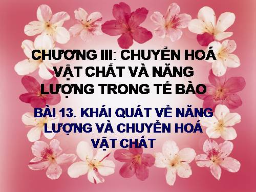 Bài 13. Khái niệm về năng lượng và chuyển hóa vật chất