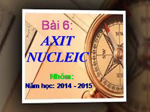 Bài 6. Axit nuclêic