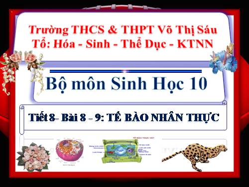 Bài 8. Tế bào nhân thực