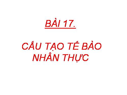 Cấu tạo tế bào nhân thực