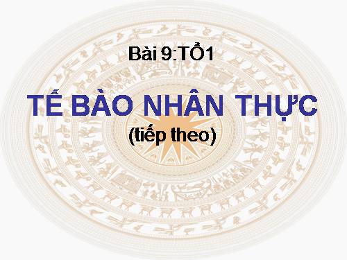 Bài 9. Tế bào nhân thực (tiếp theo)