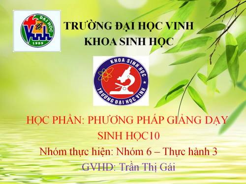 Bài 8. Tế bào nhân thực