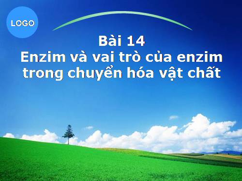 Bài 14. Enzim và vai trò của enzim trong quá trình chuyển hóa vật chất