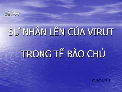 Bài 30. Sự nhân lên của virut trong tế bào chủ