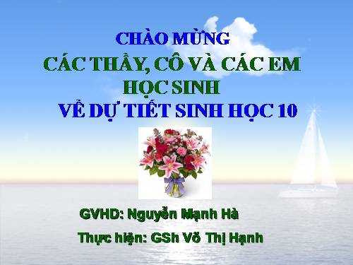 Bài 31. Virut gây bệnh, ứng dụng của virut trong thực tiễn