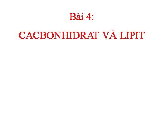 Bài 4. Cacbohiđrat và lipit