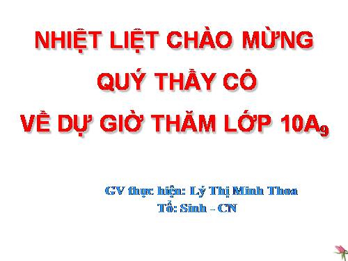 Bài 29. Cấu trúc các loại virut