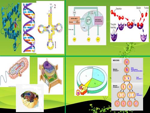 Bài 22. Dinh dưỡng, chuyển hóa vật chất và năng lượng ở vi sinh vật