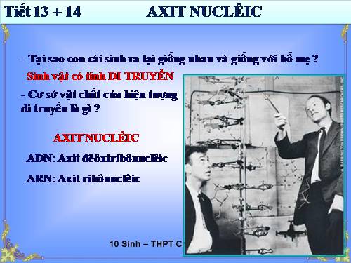 Bài 6. Axit nuclêic