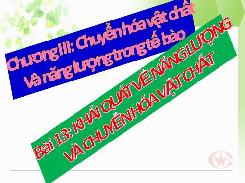 Bài 13. Khái niệm về năng lượng và chuyển hóa vật chất