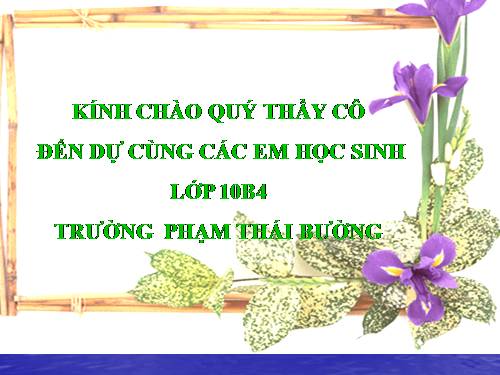 Bài 19. Giảm phân