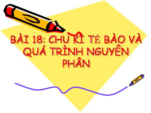 Bài 18. Chu kì tế bào và quá trình nguyên phân