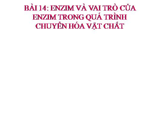 Bài 14. Enzim và vai trò của enzim trong quá trình chuyển hóa vật chất