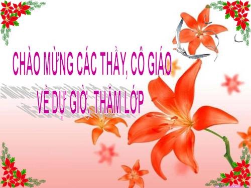 Bài 8. Tế bào nhân thực