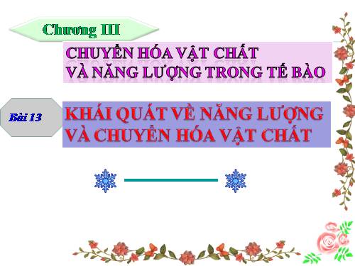 Bài 13. Khái niệm về năng lượng và chuyển hóa vật chất