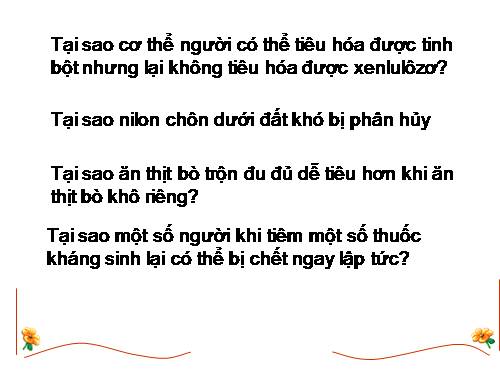 Bài 14. Enzim và vai trò của enzim trong quá trình chuyển hóa vật chất