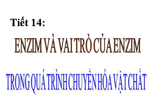 Bài 14. Enzim và vai trò của enzim trong quá trình chuyển hóa vật chất