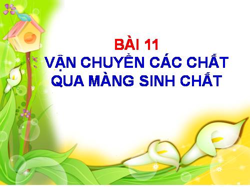 Bài 11. Vận chuyển các chất qua màng sinh chất