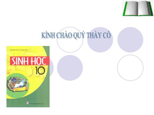 Bài 11. Vận chuyển các chất qua màng sinh chất