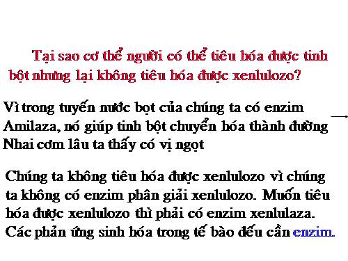 Bài 14. Enzim và vai trò của enzim trong quá trình chuyển hóa vật chất