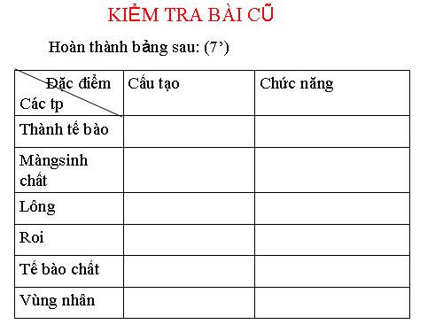 Bài 8. Tế bào nhân thực