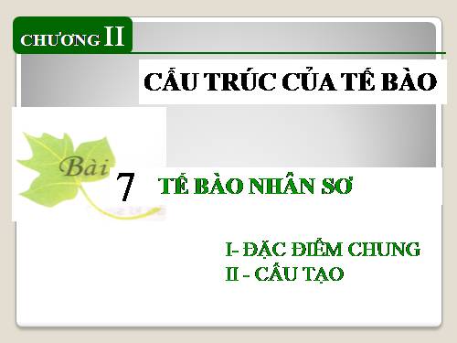 Bài 7. Tế bào nhân sơ