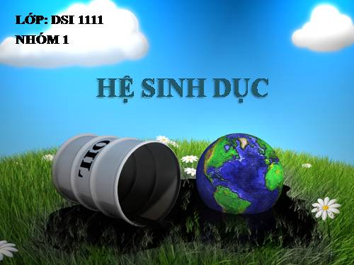 Giải phẫu hệ sinh dục