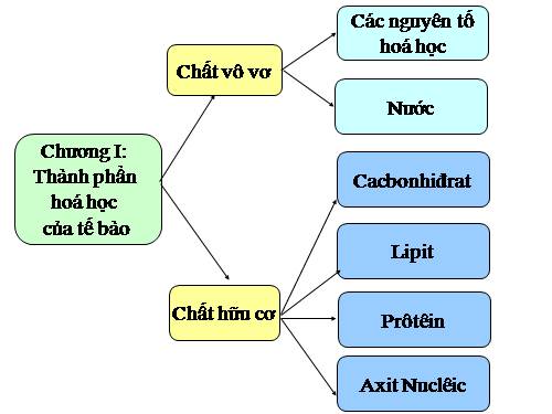 Bài 7. Tế bào nhân sơ