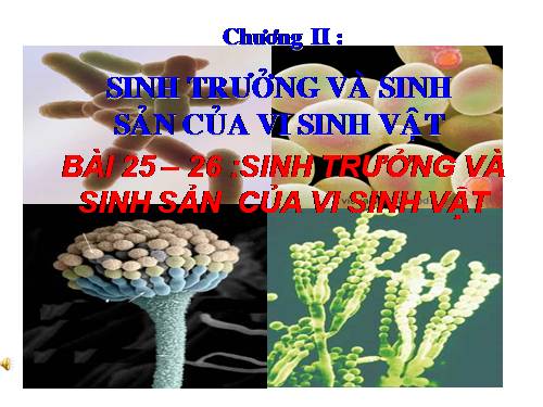 Bài 25. Sinh trưởng của vi sinh vật