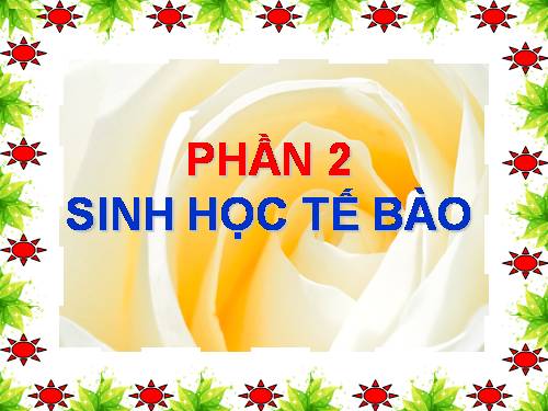 Bài 8. Tế bào nhân thực