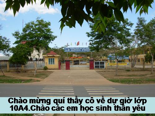 Bài 14. Enzim và vai trò của enzim trong quá trình chuyển hóa vật chất