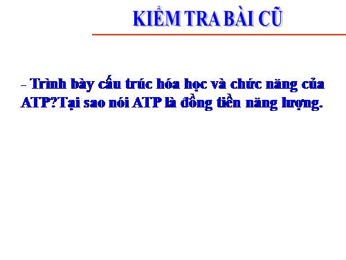 Bài 14. Enzim và vai trò của enzim trong quá trình chuyển hóa vật chất