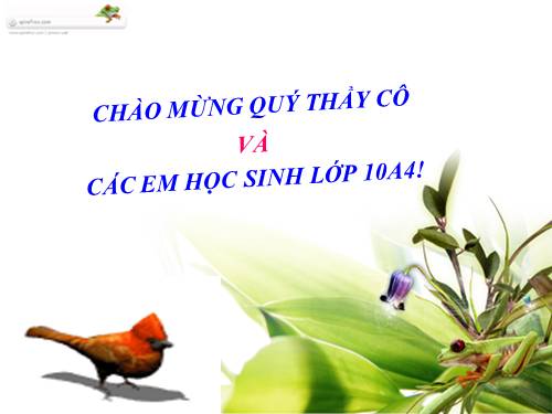 Bài 30. Sự nhân lên của virut trong tế bào chủ