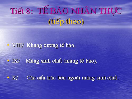 Bài 8. Tế bào nhân thực