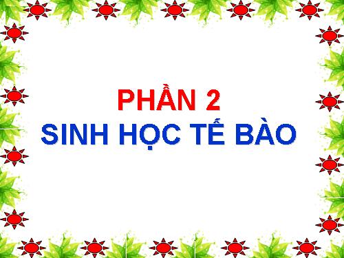 Bài 8. Tế bào nhân thực