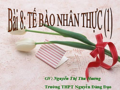 Bài 8. Tế bào nhân thực