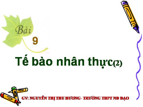 Bài 9. Tế bào nhân thực (tiếp theo)